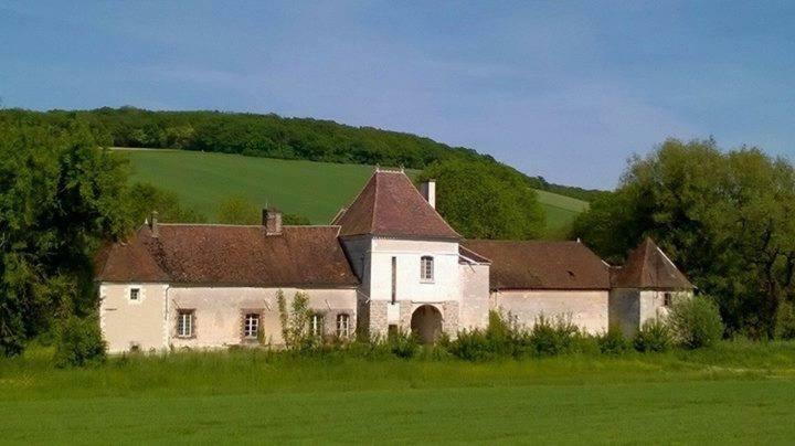 Chateau Des Roises Bucey-en-Othe 外观 照片